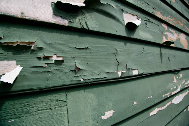 Professional Junk Removal in Claryville, KY