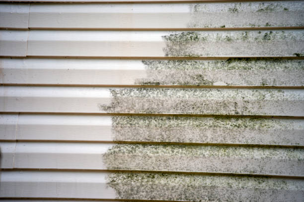 Best Construction Debris Removal  in Claryville, KY