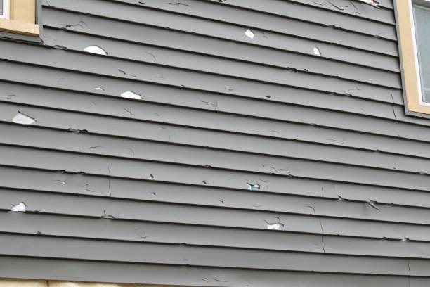 Best Construction Debris Removal  in Claryville, KY